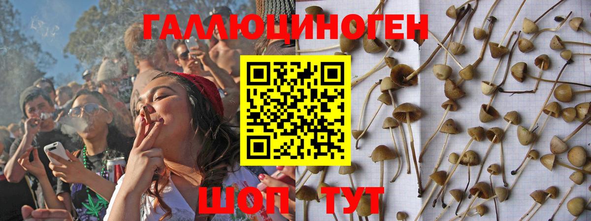 Псилоцибиновые грибы Psilocybe  Вход с VPN  Псилоцибиновые грибы Cubensis  Воткинск 