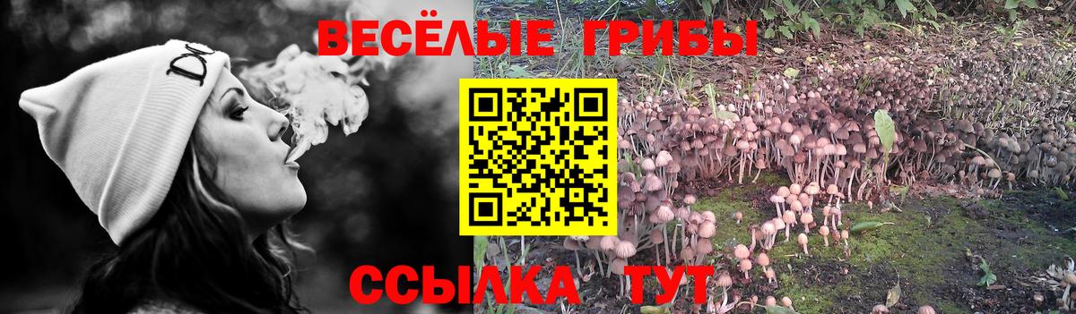 Галлюциногенные грибы мицелий Воткинск